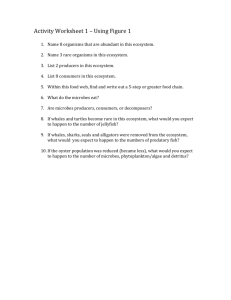 Activity Worksheet 1 – Using Figure 1 Name 8 organisms that are