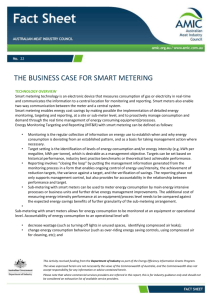 The Business Case for Smart Metering