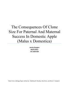 The Consequences Of Clone Size For Paternal And Maternal