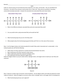 Lipids Worksheet