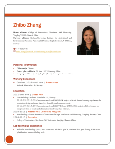 CV Zhibo Zhang