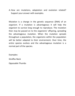 Chapter 12 Adaptation Answer Key