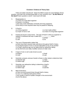 Fossil Web Quest Worksheet