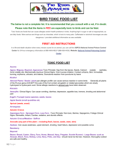 Bird Toxic Food List