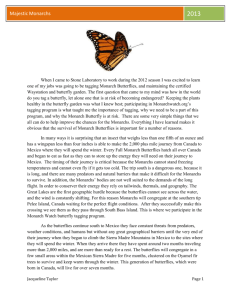 Twineline Monarch Butterfly Article