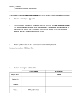 30 Protein Synthesis Worksheet Answers Part B - Notutahituq Worksheet