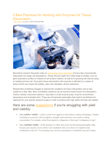 5 Best Practices for Working with Enzymes for Tissue Dissociation