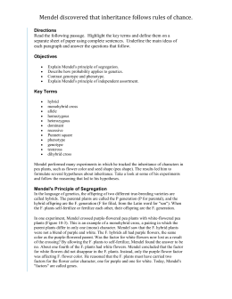 Worksheets Introduction To Genetics Worksheet introduction to genetics problem solving mendel discovered that inheritance follows rules of chance