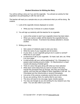 Geologic Time Scale worksheet answer key (1)