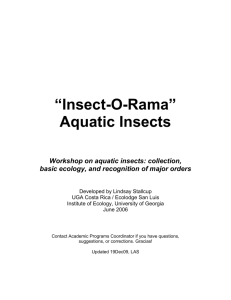 “Insect-O-Rama” – Aquatic Insects