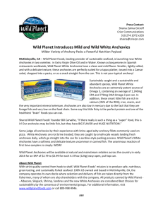 Wild Planet Introduces Mild and Wild White Anchovies