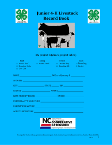 Junior 4-H Livestock Record Book My project is