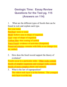 Geologic Time: Essay Review Questions for the Test pg. 115