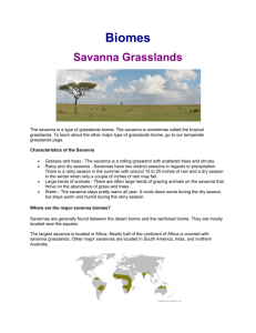 Biomes-savanna grasslands