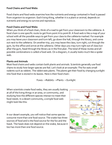 Food Chains and Food Webs