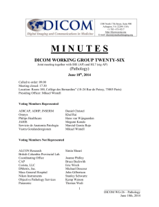 WG-26_2014-06-18 Minutes - Dicom