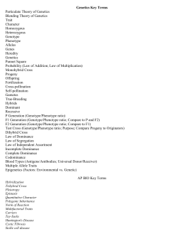 Incomplete and Codominance Worksheet