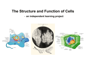 The Structure and Function of Cells