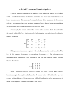 A Brief Primer on Matrix Algebra