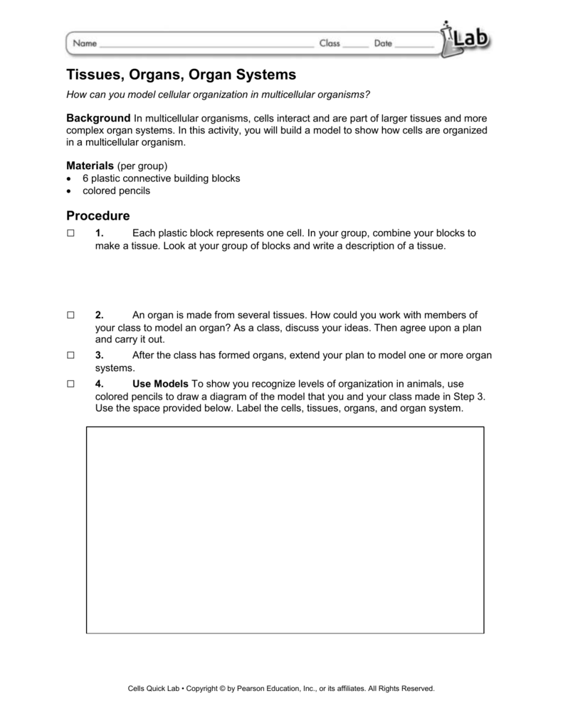 Worksheets Bill Nye Plants Worksheet 100 bill nye cells worksheet answers the tissues organs organ systems
