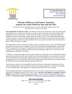 Turtle Walks 2014 Press Release - Museum of Discovery and Science