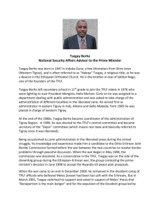 Tsegay Berhe National Security Affairs Advisor to the Prime Minister