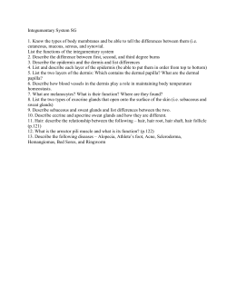 Integumentary System Review Worksheet
