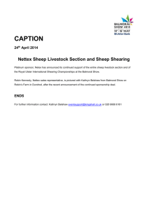 CAPTION 24 th April 2014 Nettex Sheep Livestock