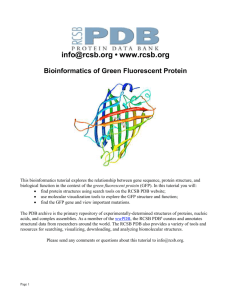 Bioinformatics of Green Fluorescent Protein