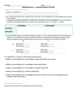 Genetics worksheet part 1 Understanding Phenotype and Genotype