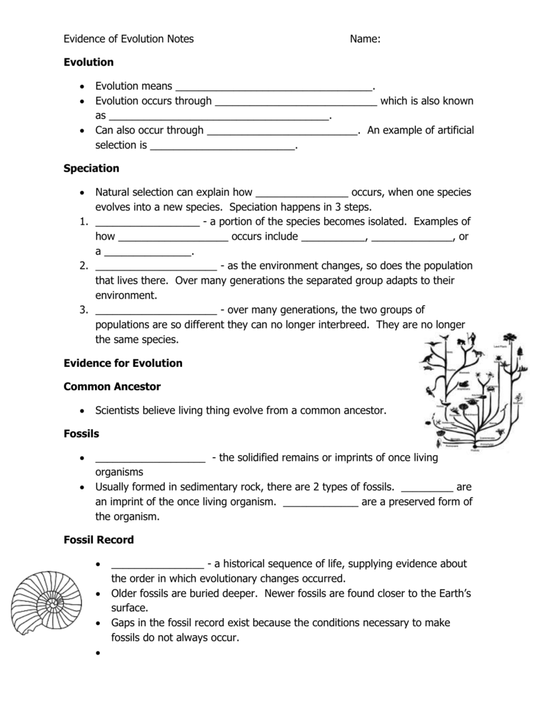 29 Evolution And Selection Pogil Worksheet Answers - Free ...
