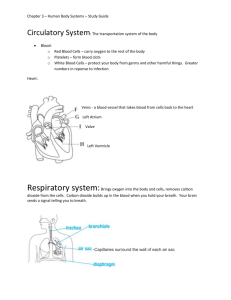 Chapter 3 – Human Body Systems – Study Guide Circulatory