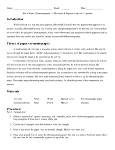 Theory of paper chromatography