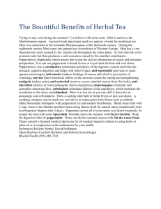 The Bountiful Benefits of Herbal Tea