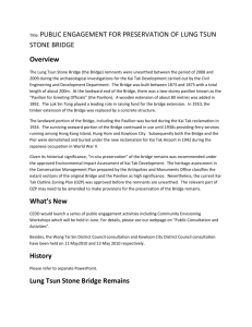 Lung Tsun Stone Bridge Remains Principles of Preservation