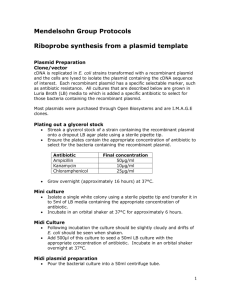 Riboprobe synthesis from a plasmid template