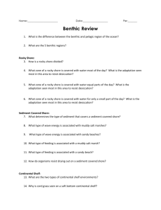 Benthic Review