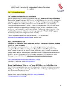 CSEC Youth Prevention and Intervention Training Curriculum List
