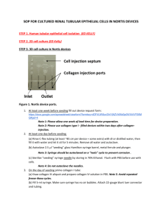 SOP for Cultured Renal Tubular Epithelial Cells in Nortis Devices