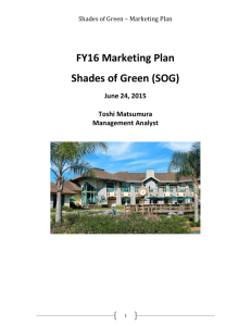 Shades of Green * Marketing Plan