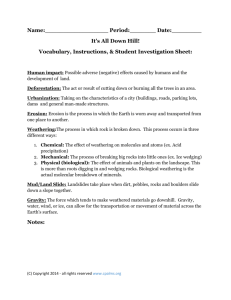 Student Investigation Sheet