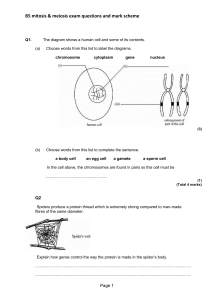 B5 mitosis & meiosis exam practice and mark scheme
