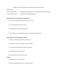 Biology L1/L2 Protein and Enzymes Test Review Sheet (Test aprox