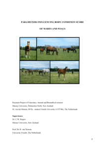 Plot 12. Body condition scores of thin and fat foals.