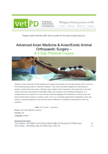 Interest in avian and exotic animal medicine and surgery has