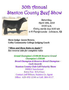 2015 Beef Show and Club Calf Futurity