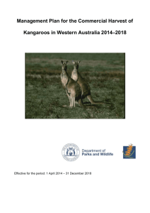Management Plan for the Commercial Harvest of Kangaroos in