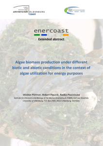 enercoast algae biomass production for energy