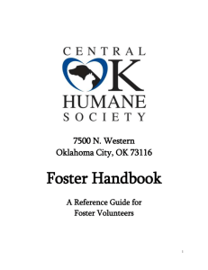 How The Foster Program Works