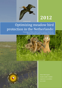 Optimizing meadow bird protection in the Netherlands: